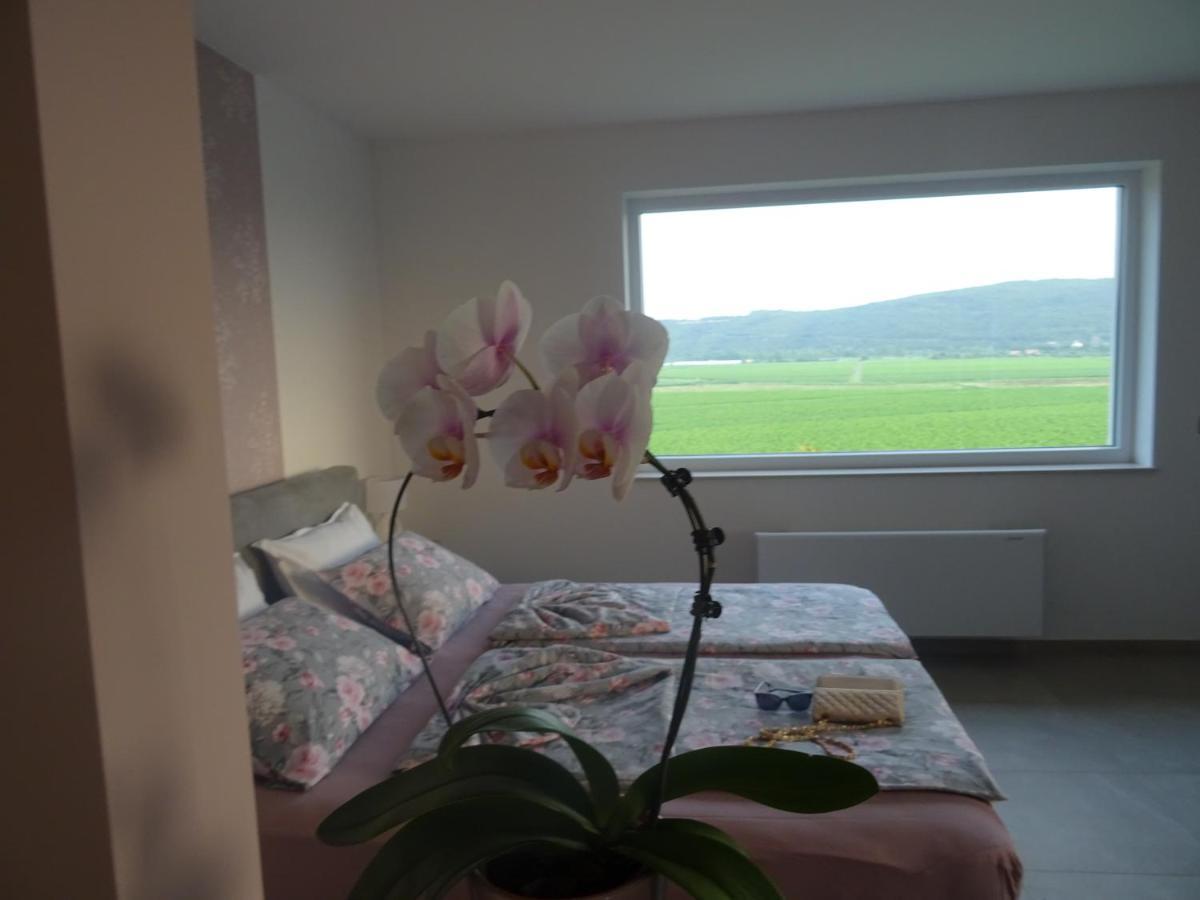 Val&Sol Apartments Sečovlje Kültér fotó