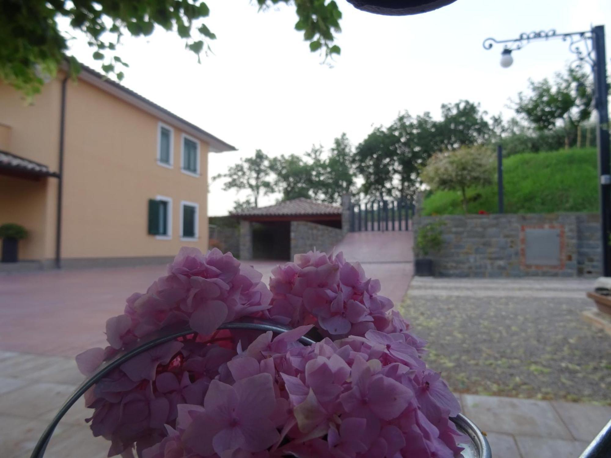 Val&Sol Apartments Sečovlje Kültér fotó